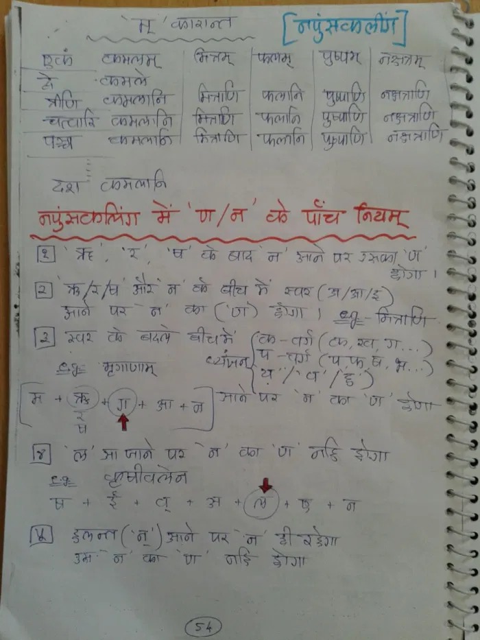 5 Laws For Neuter 3rd Vibhakti